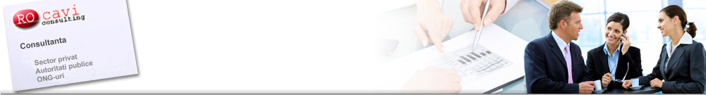 Rocavi Consulting - Consultanta sector public, sector privat, dezvoltare personala